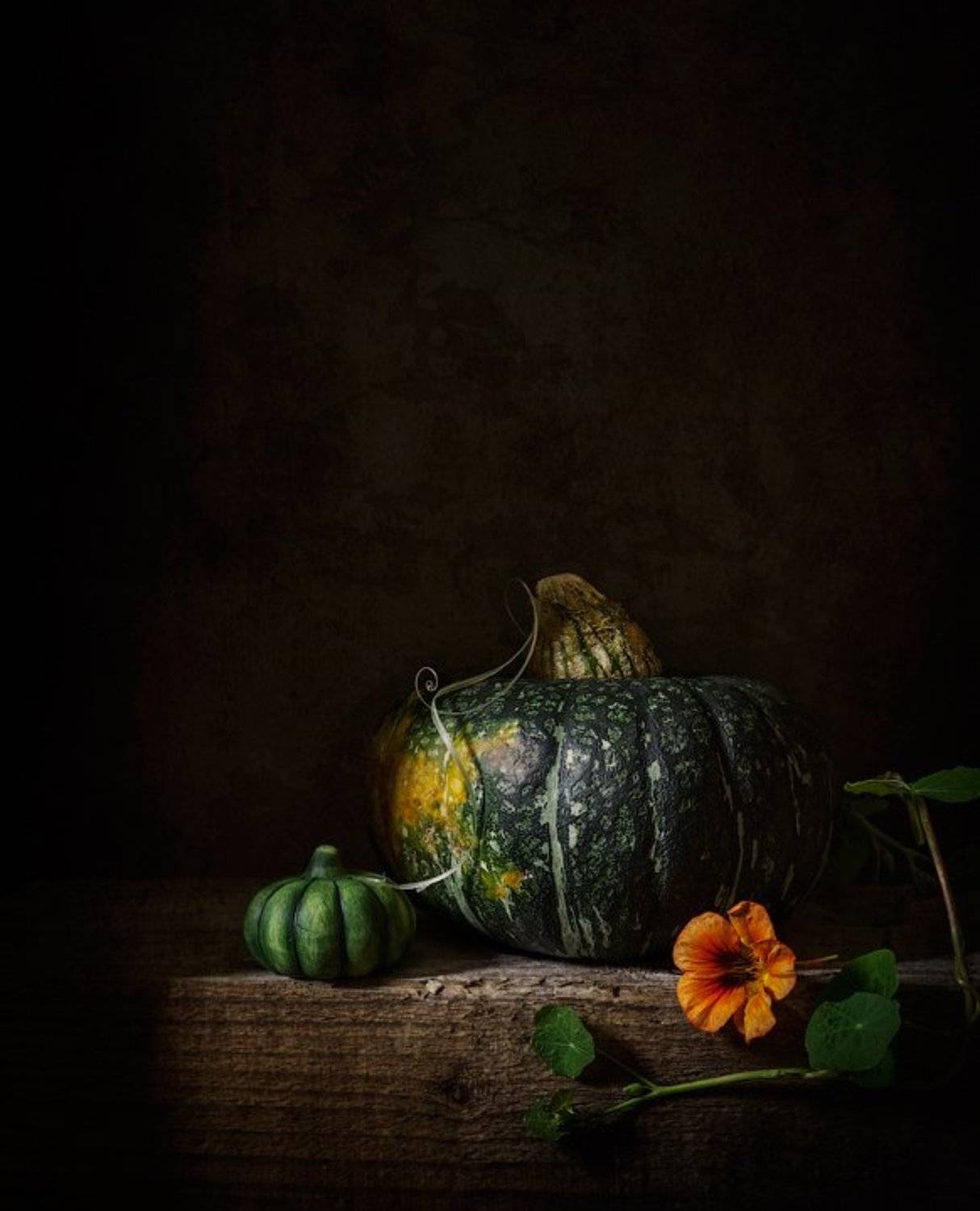 натюрморт, тыквы, настурция, Anyuta Gillespie