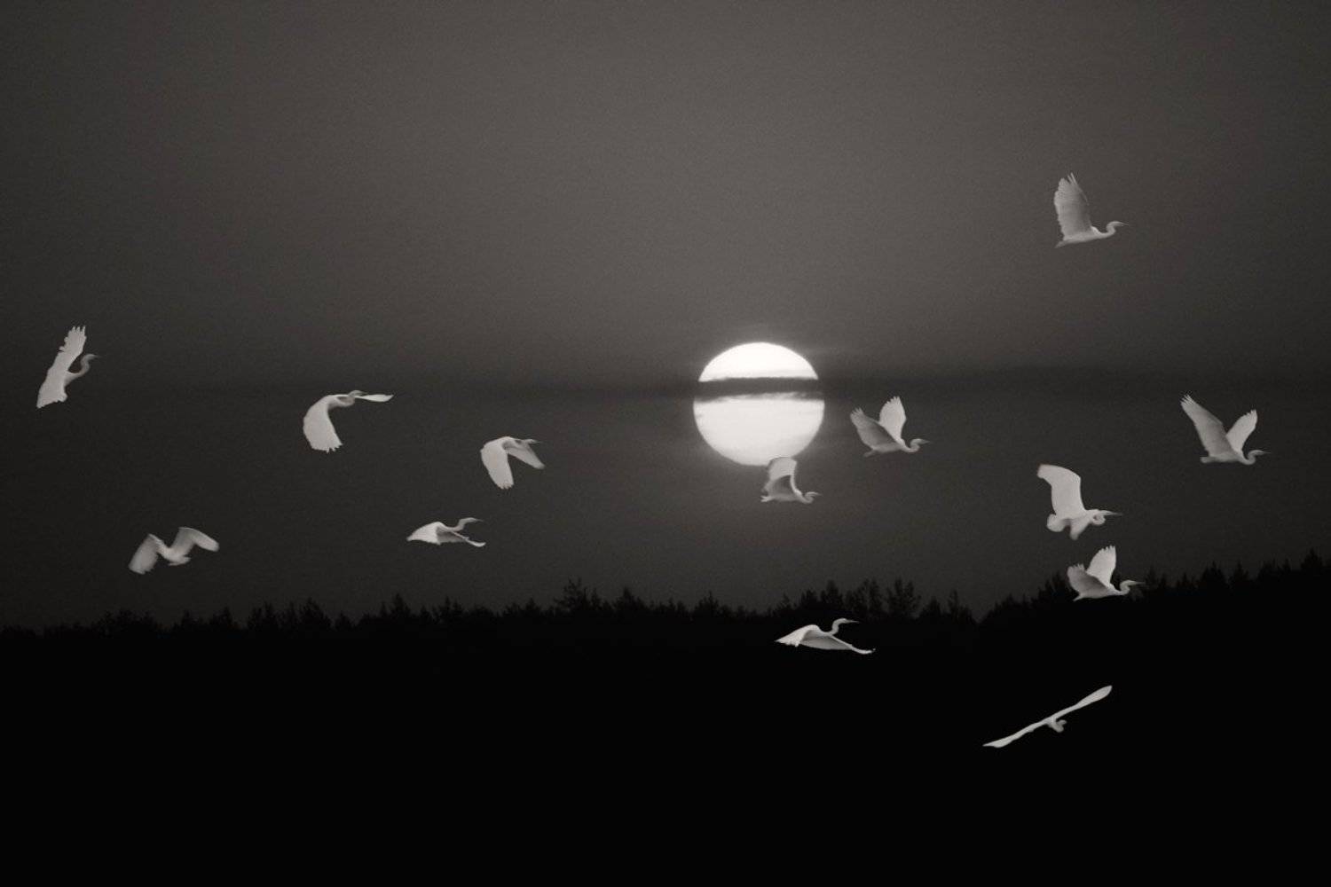 , Валерий Кондратов