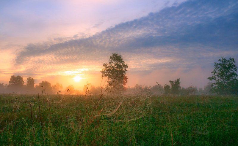 Утро ушедшего лета фото превью
