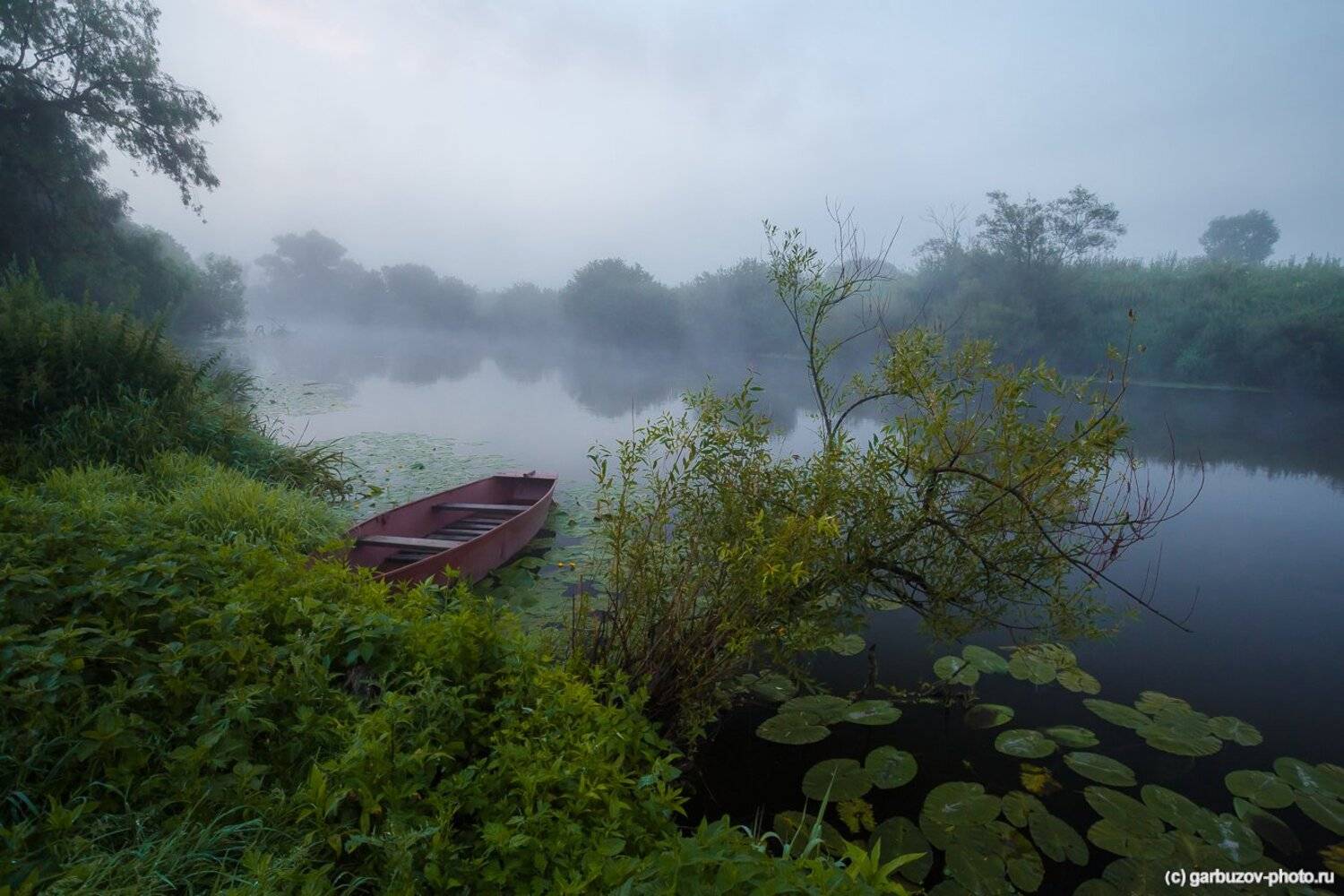 , Гарбузов Илья
