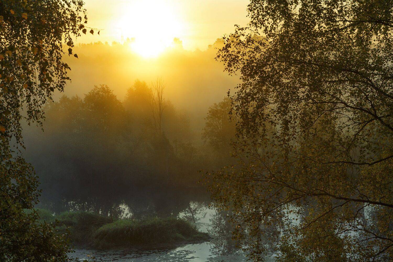 , Шевченко Николай