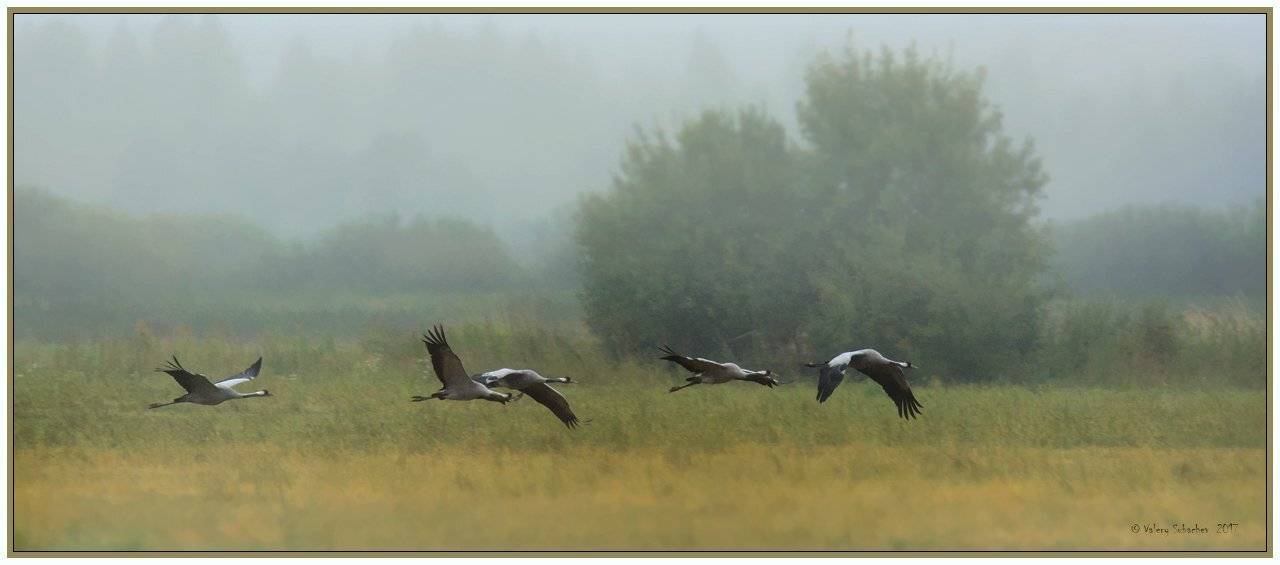 , Валерий Субачев