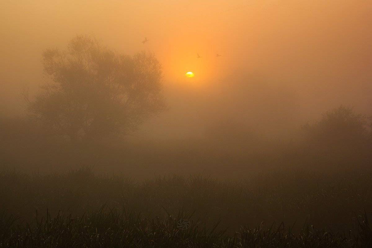 , Pawel Plucinski