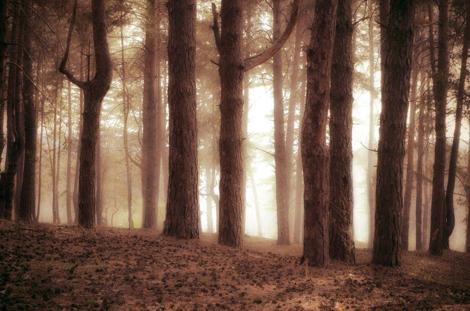 , Александр Филатов