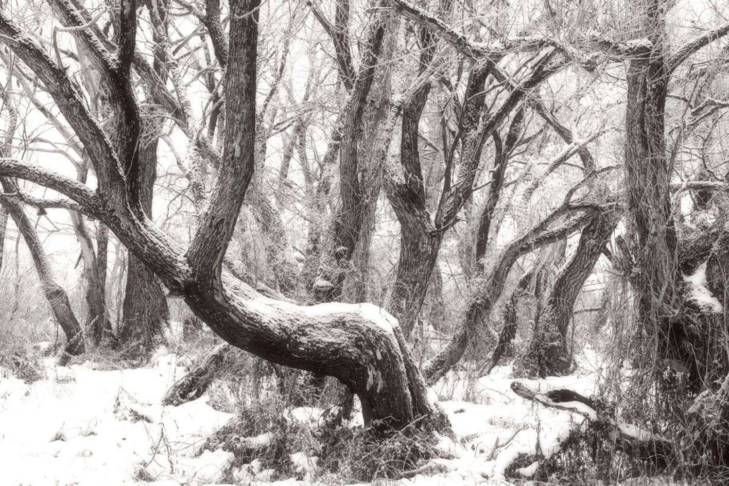 , Валерий Кондратов