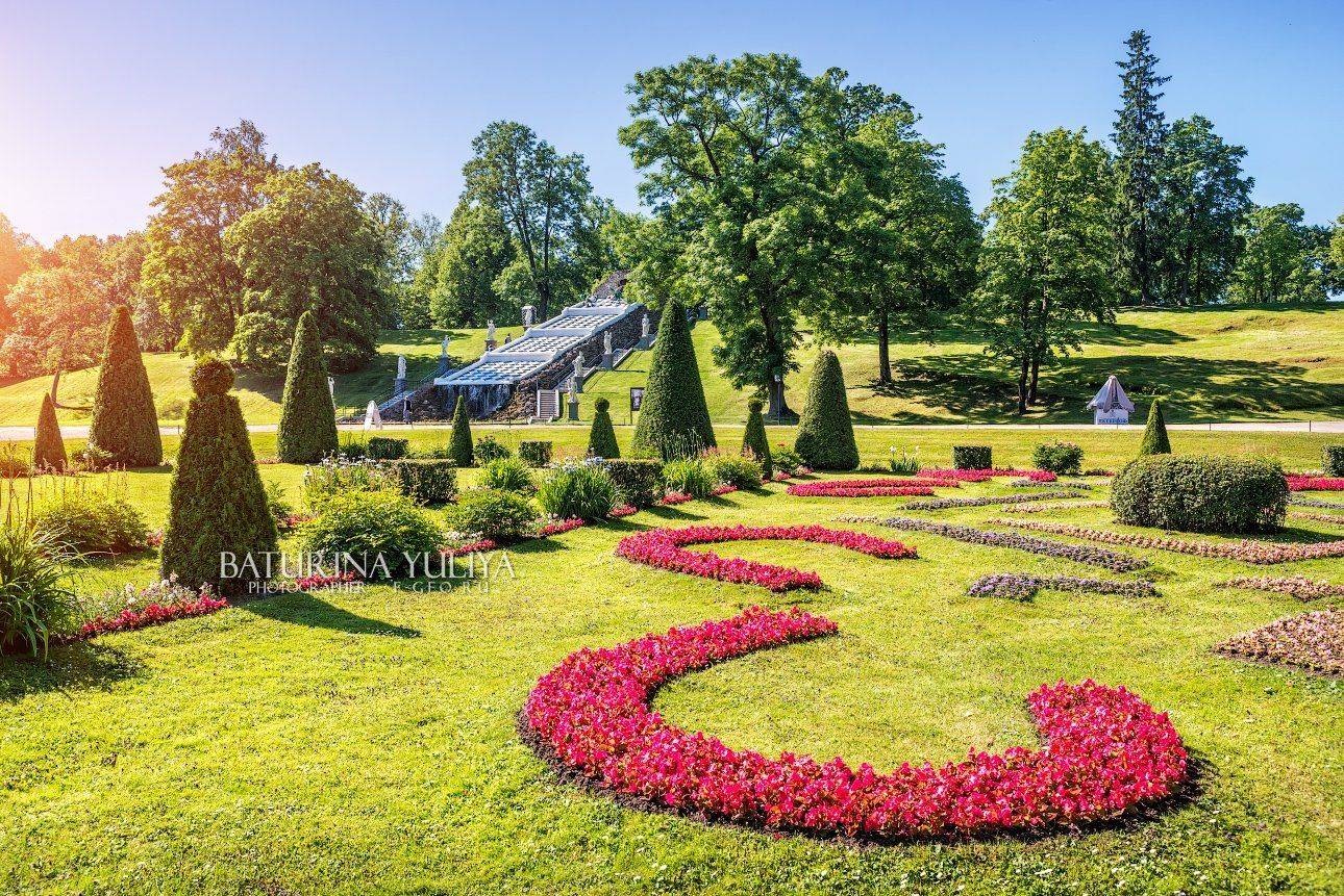 санкт-петербург, петергоф, фонтан шахматная гора, Юлия Батурина