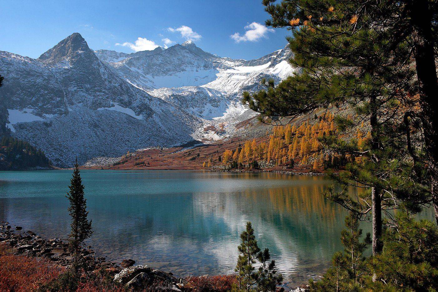 , Алексей Родак