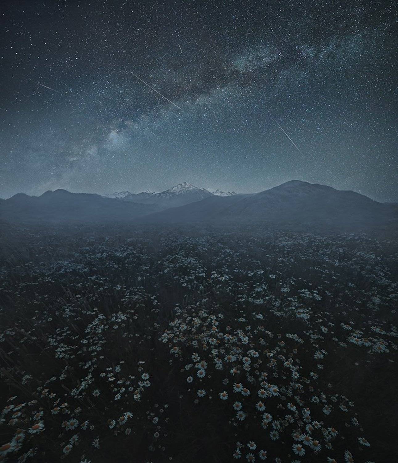 , Дeнис Бoдрoв