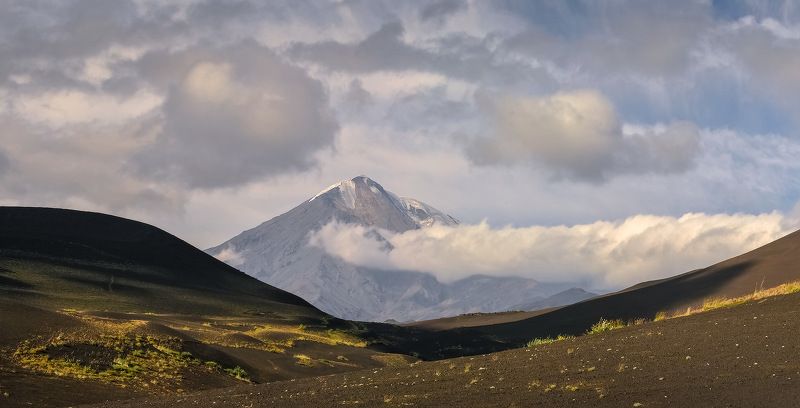 камчатка, толбачик, вулкан, лава, мёртвый лес, Толбачик и окрестности фото превью