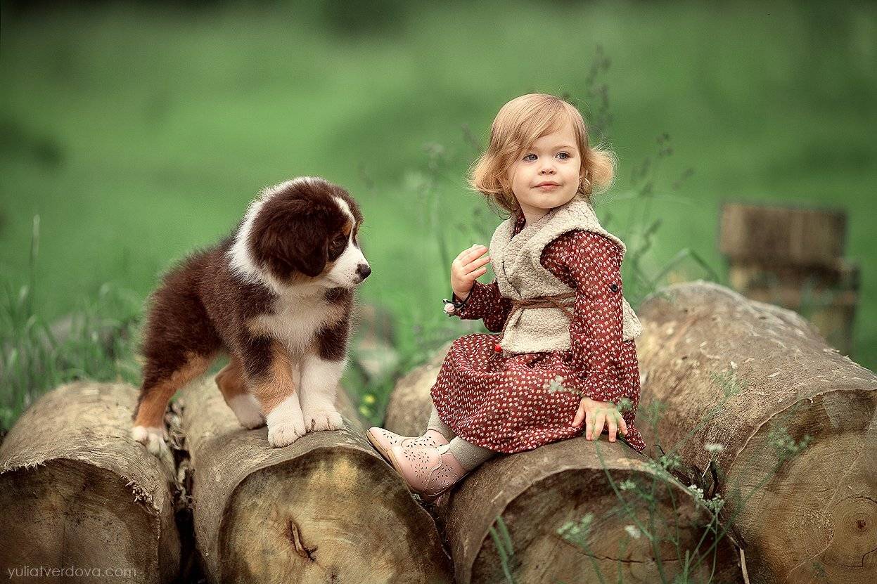 cемья дети детский фотограф беременность, Юлия Твердова