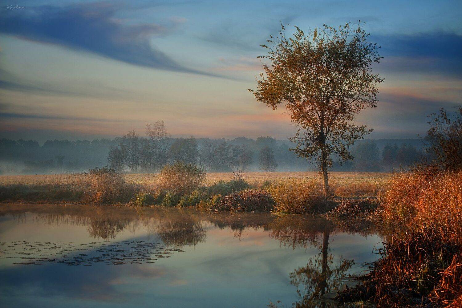 осень,утро,берег,река, Roma  Chitinskiy