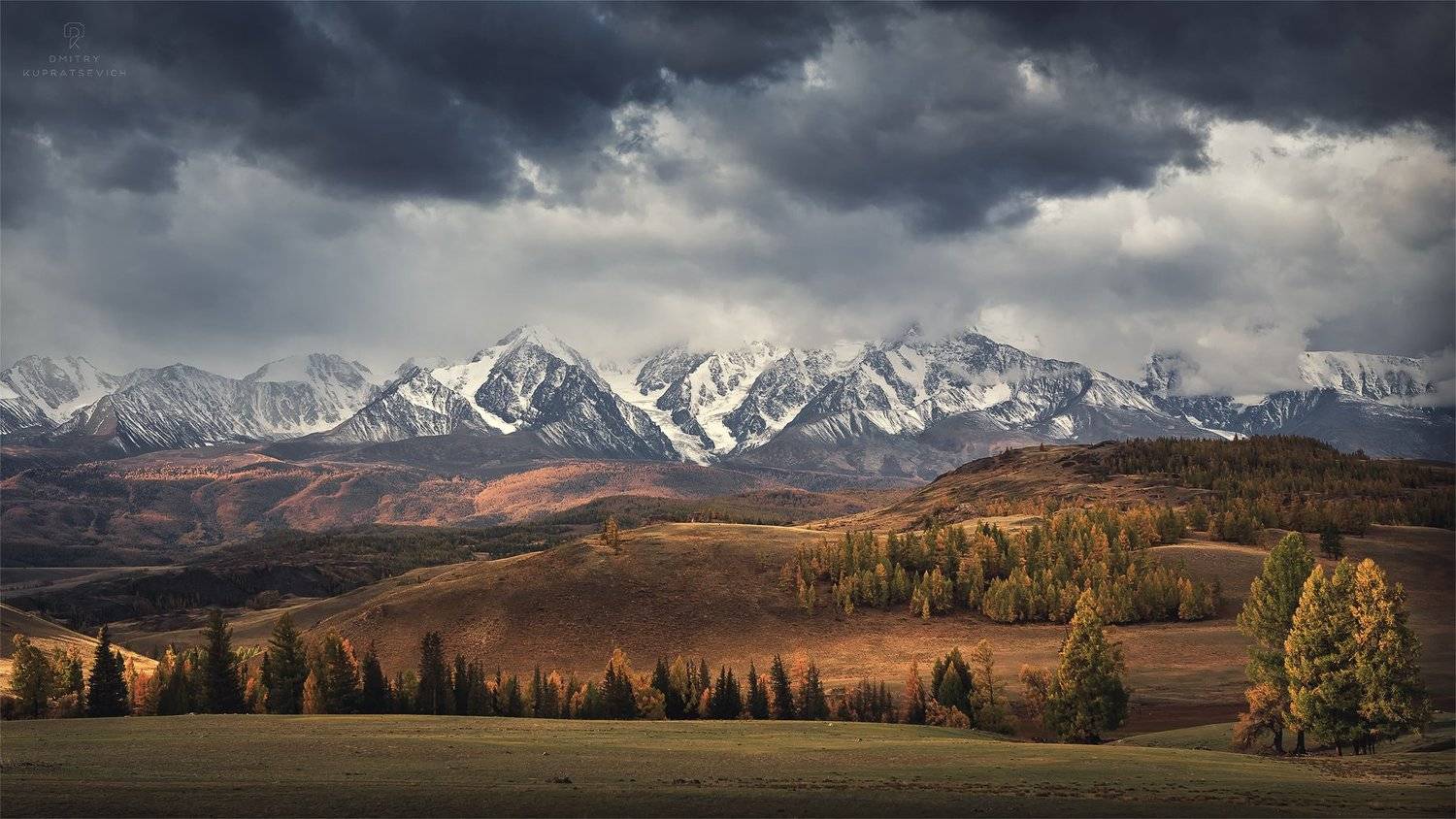 , Дмитрий Купрацевич