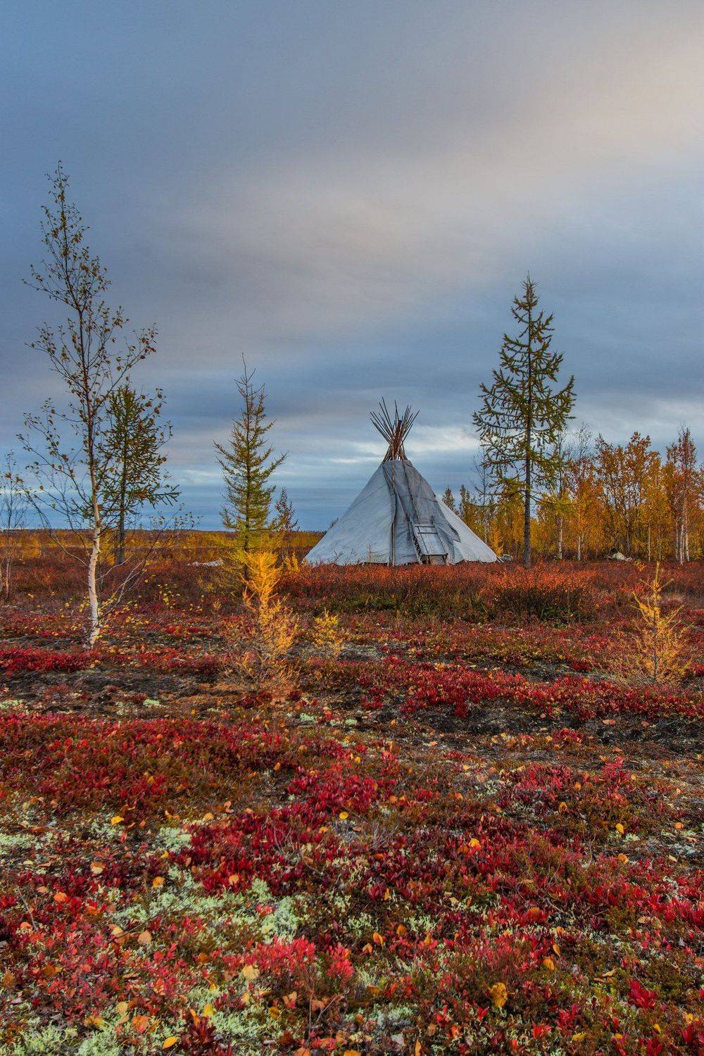 ямал , сибирь, природа, салехард , чум , осень, Настя Братка