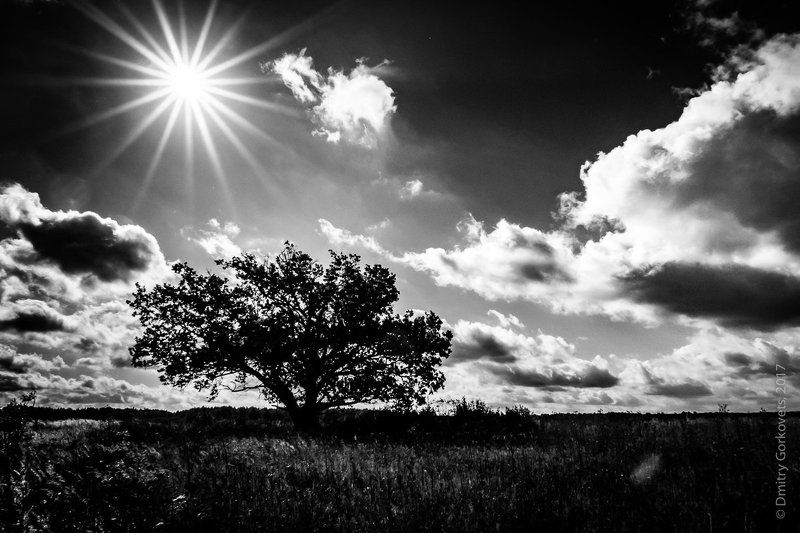 #bw #bwlandscapes #PhotoByDmitryGorkovets #black_and_white #highcontrast  Alone фото превью
