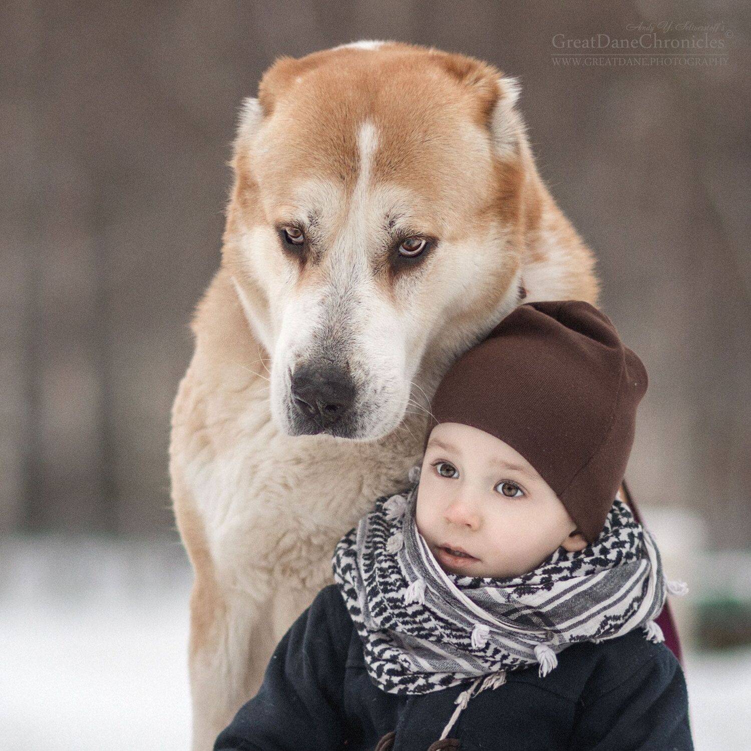 , Андрей Селиверстов