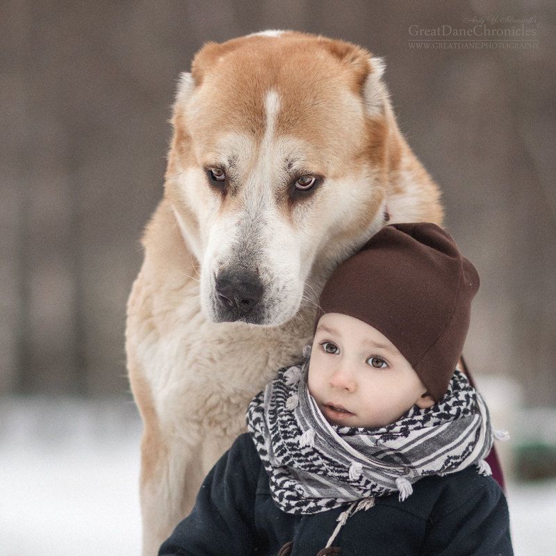 Eyes фото превью