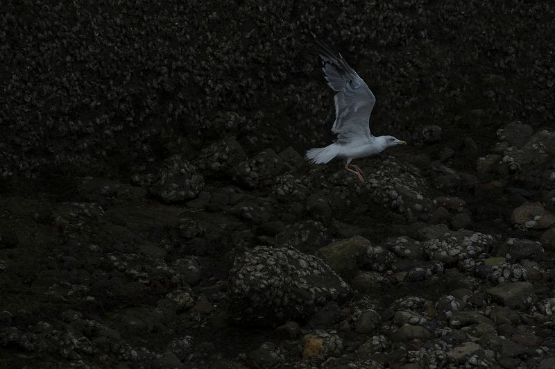 Fall of the day#** фото превью