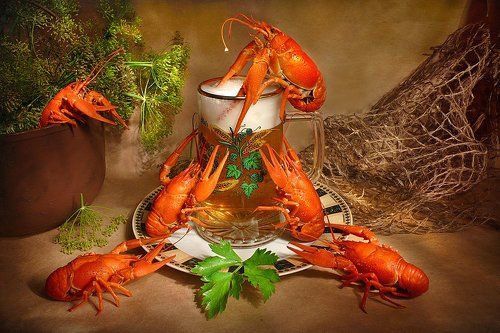 Пиво и раки (пятничное)