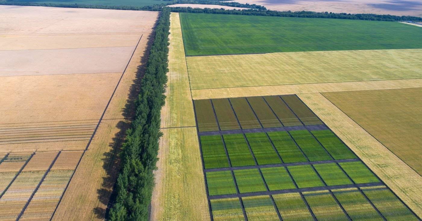 Воронежская область, Россия, #lдрон, #air, #aerial, #аэро, #drone, Борис Резванцев