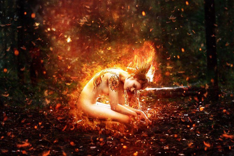 фото превью