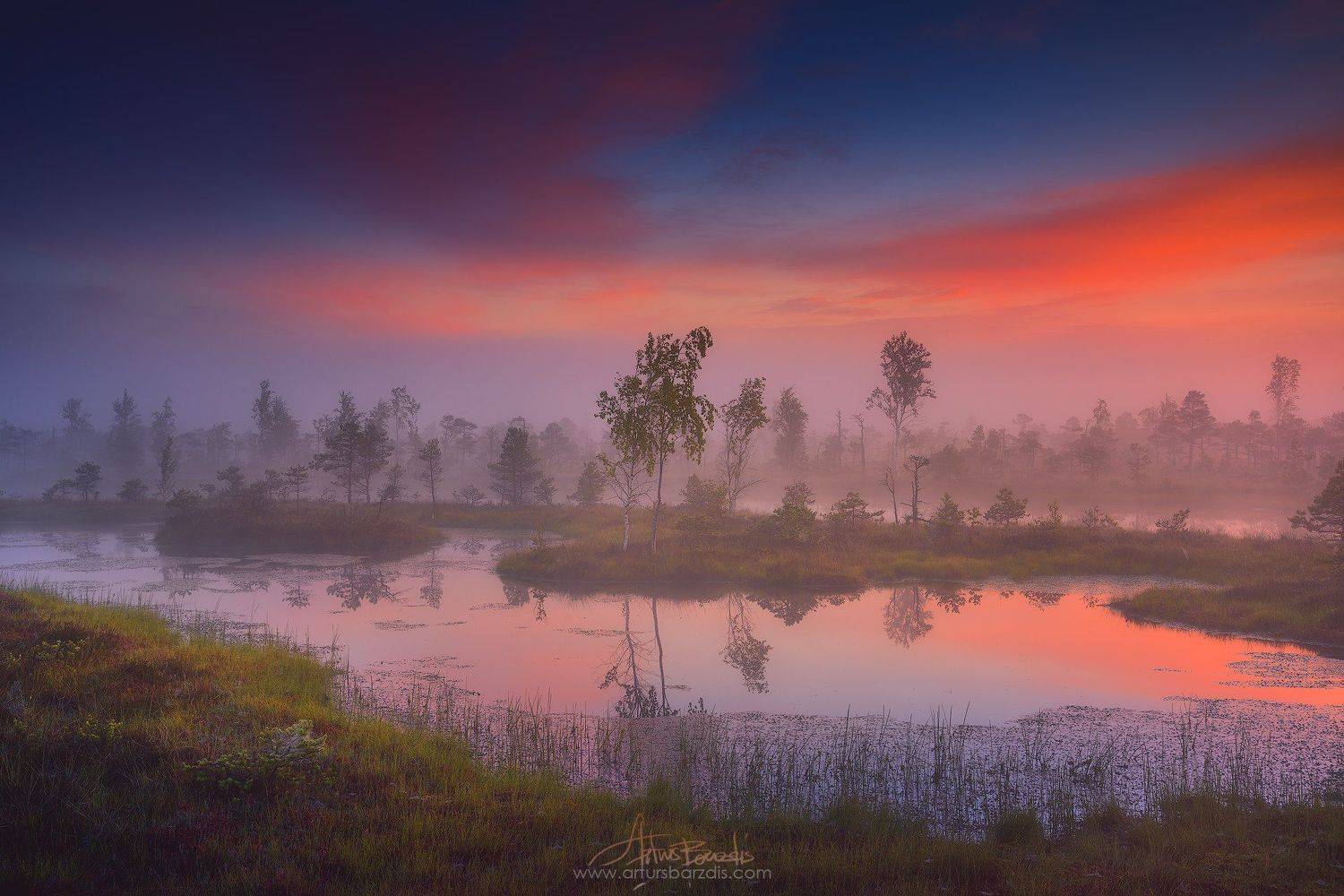 Кемерское болото, Arturs Barzdis