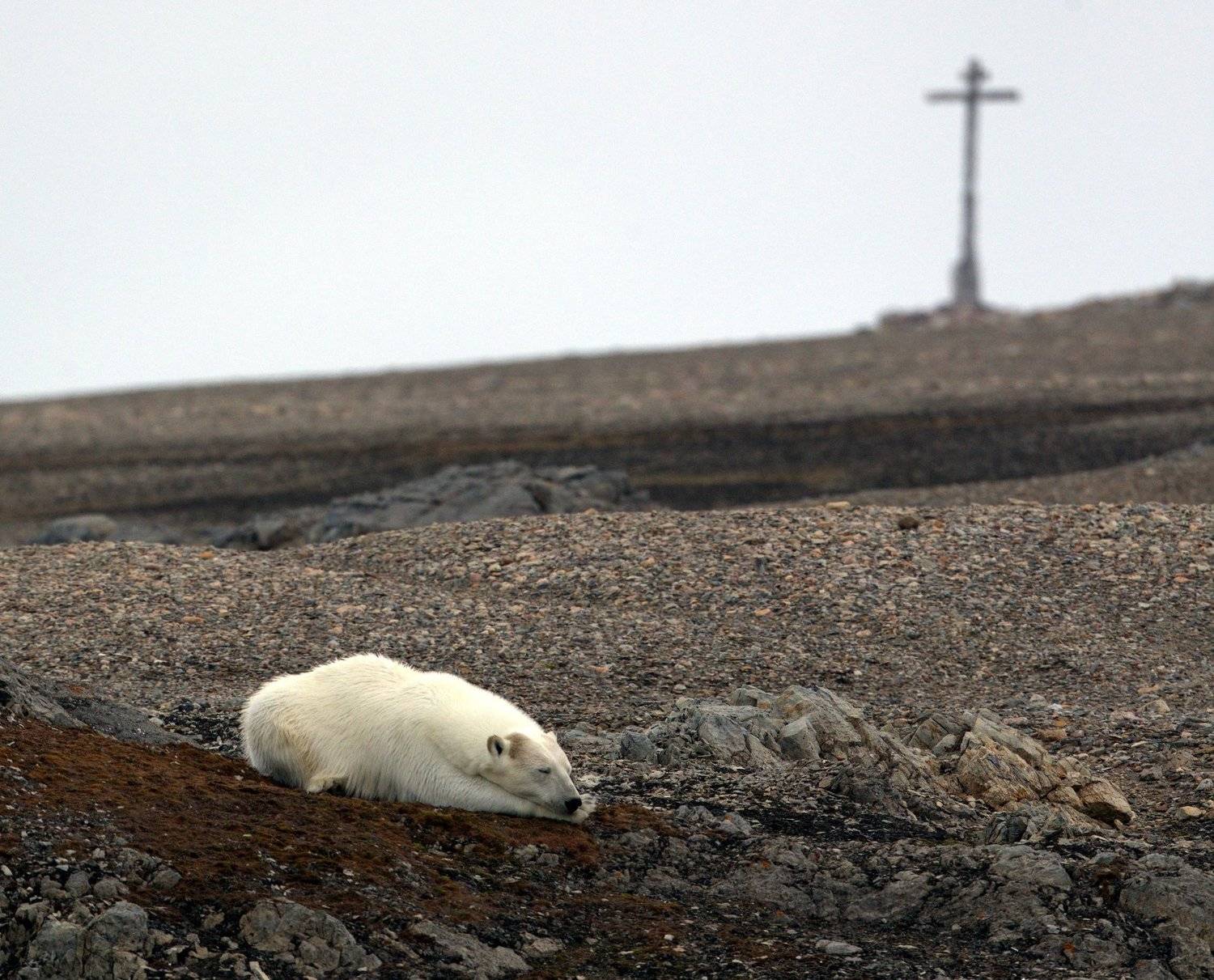, Александр Перов