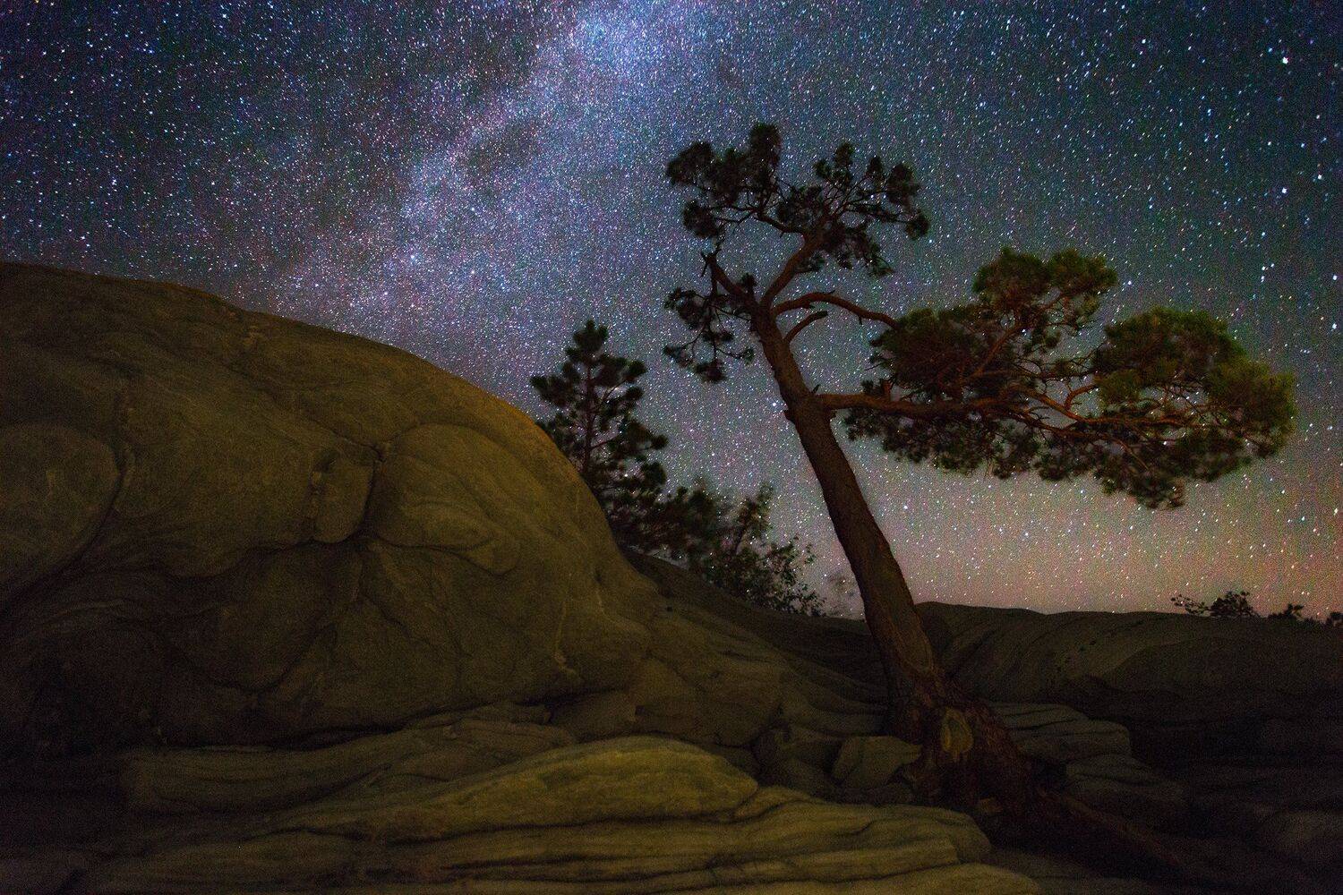 , Павел Сагайдак