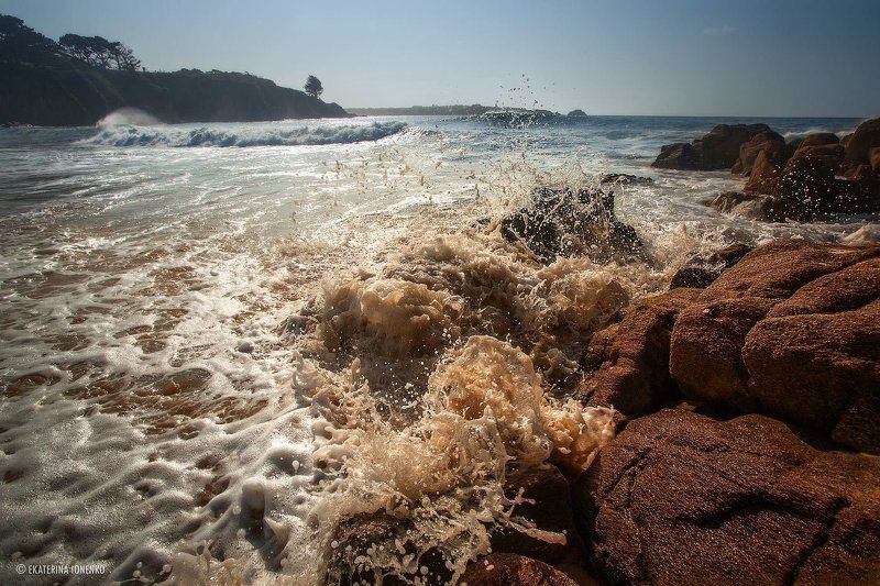 Капучиновое море! фото превью