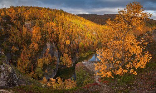 Золотая осень