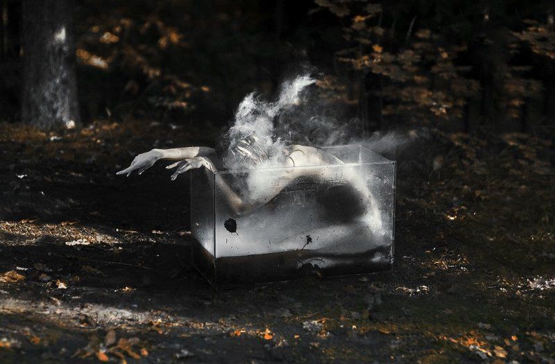 art nikon photo russia d700 Amphibian фото превью