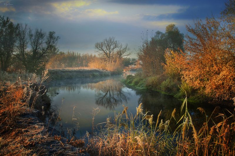 осень,утро,берег,река,камыш Чудная пора ... фото превью