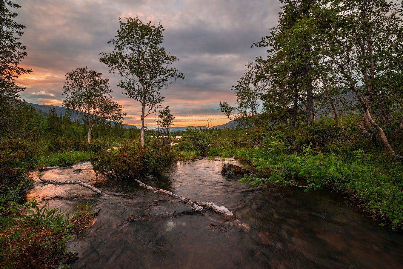 хибины, лето, кольский, заполярье, север, ночь, полярный день,, Роман Горячий