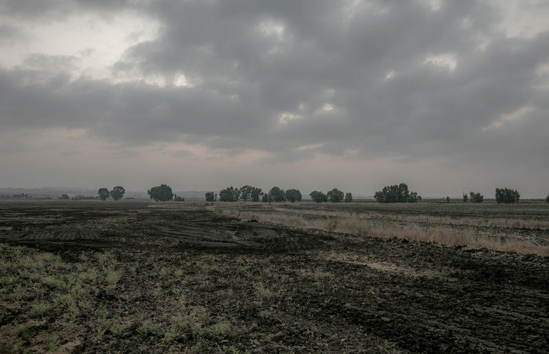 Поля в Израиле. Сентябрь 2017. фото превью