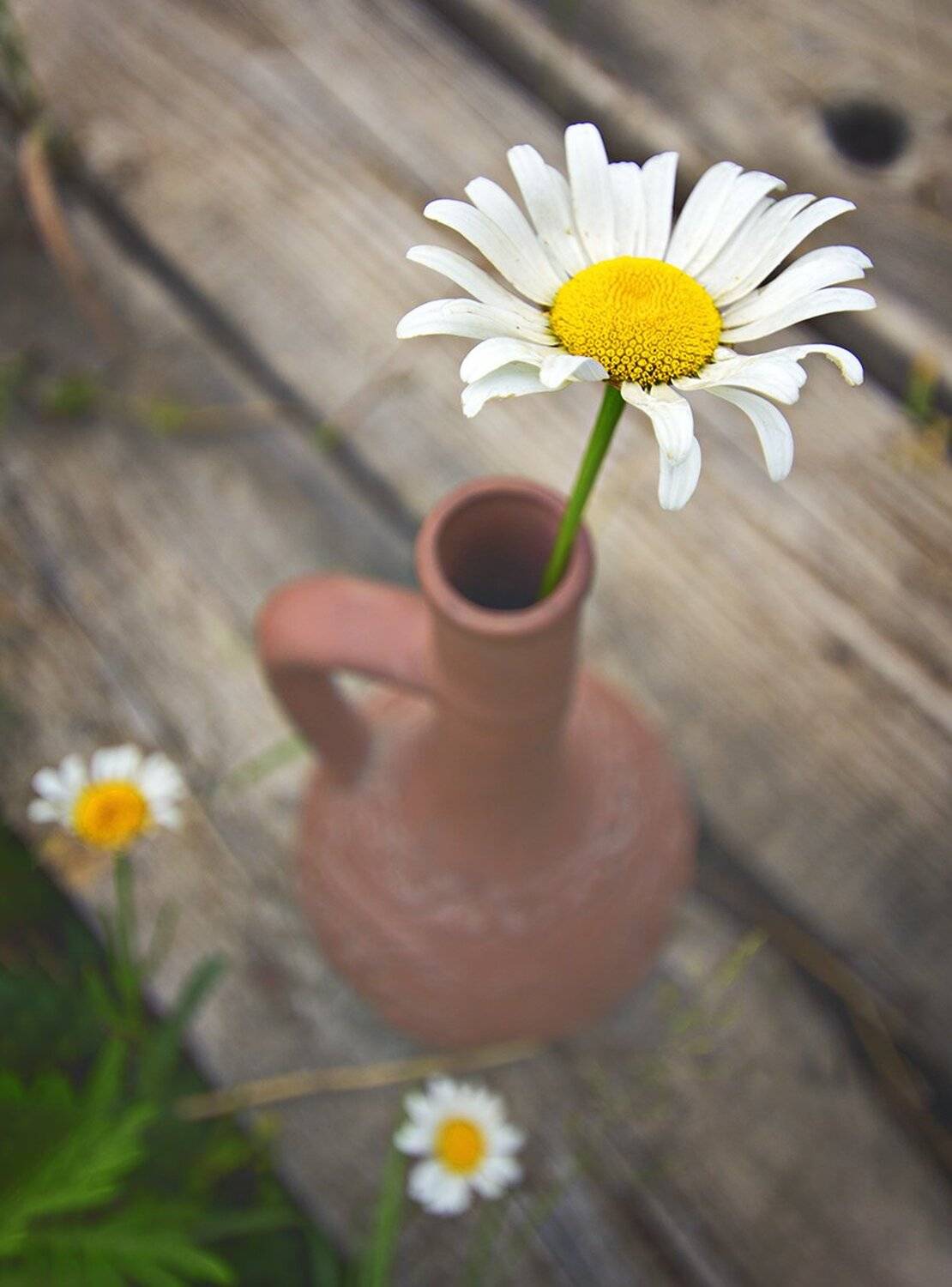 , Николай Андреев