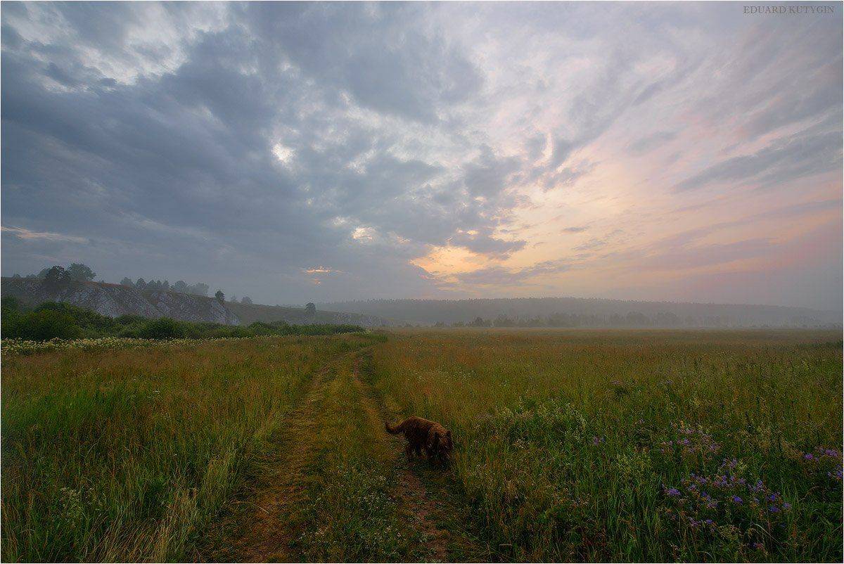 Чусовая, Слоюода, лето, туман, кутыгин, Россия, , Кутыгин Эдуард