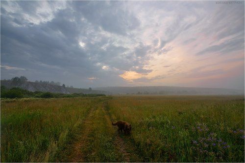 Гуляю с собакой.