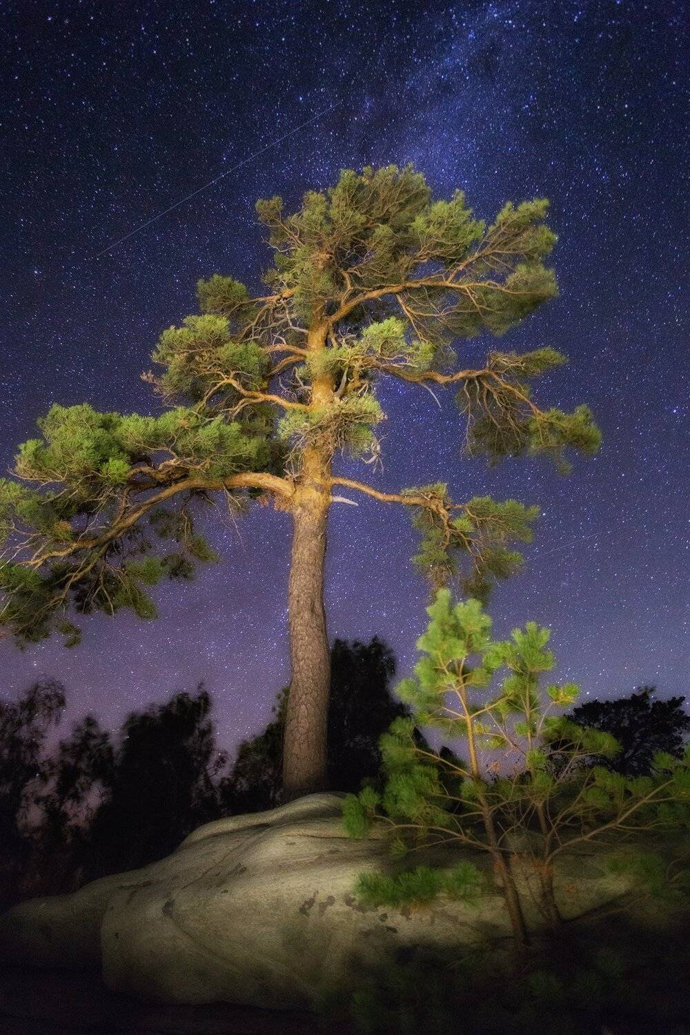 , Павел Сагайдак