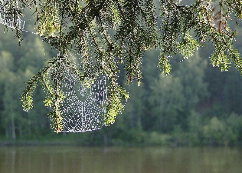 Над рекой фото превью