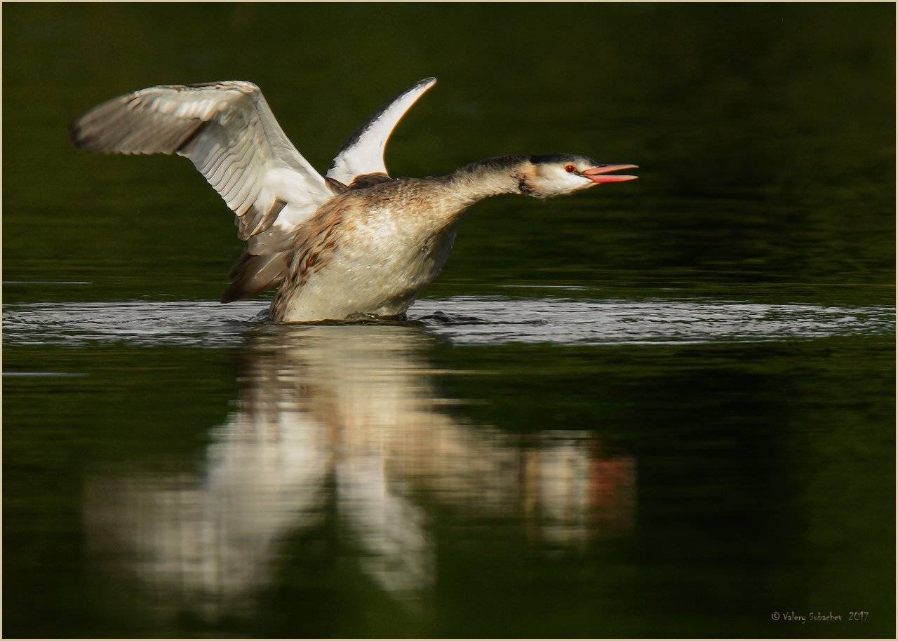 , Валерий Субачев
