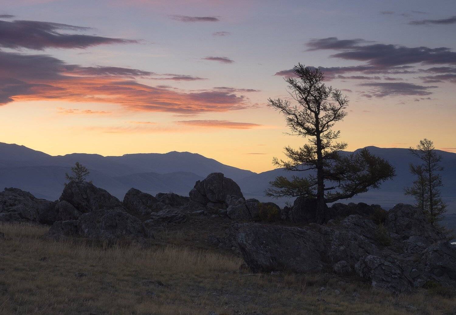 , Лещёнок Александр