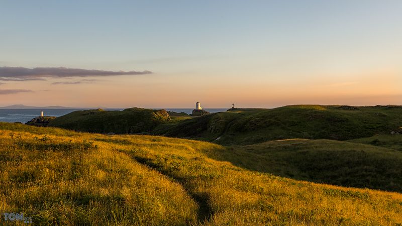 sheep wales landscape photography colour lighthouse sunset sun scenery view beautiful uk sky clouds \