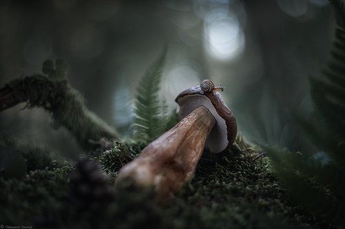 Исследуя жизнь