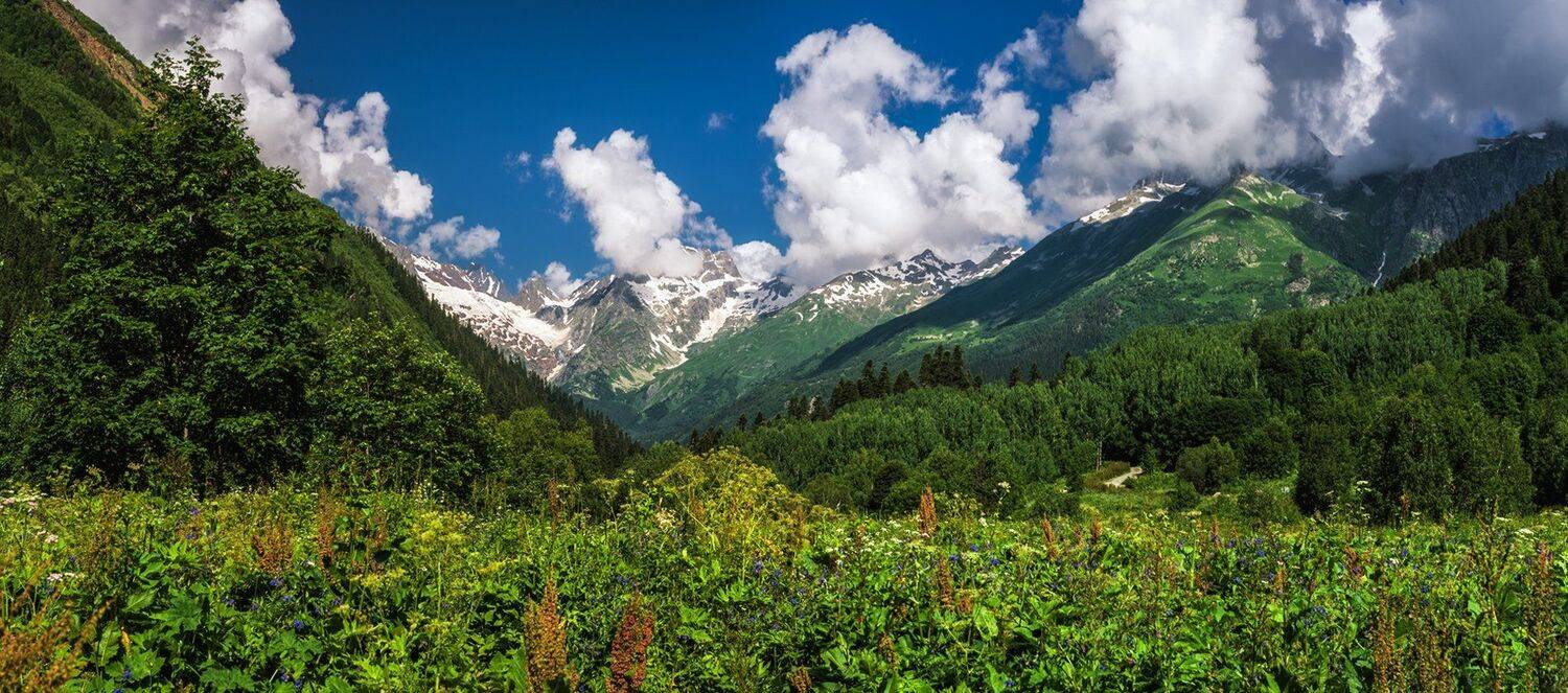 , Игорь Мелекесцев