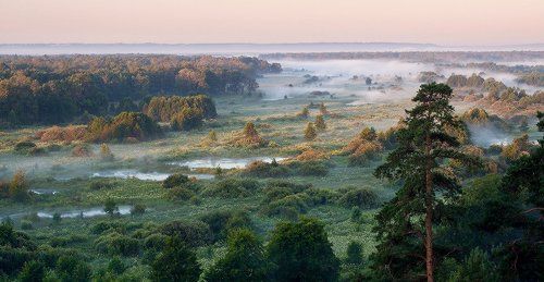 Решетихинские дали