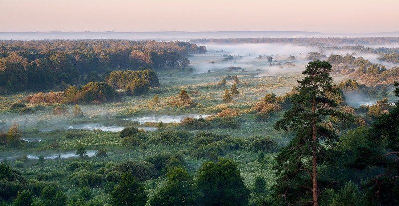 природа утро лето Решетихинские дали фото превью