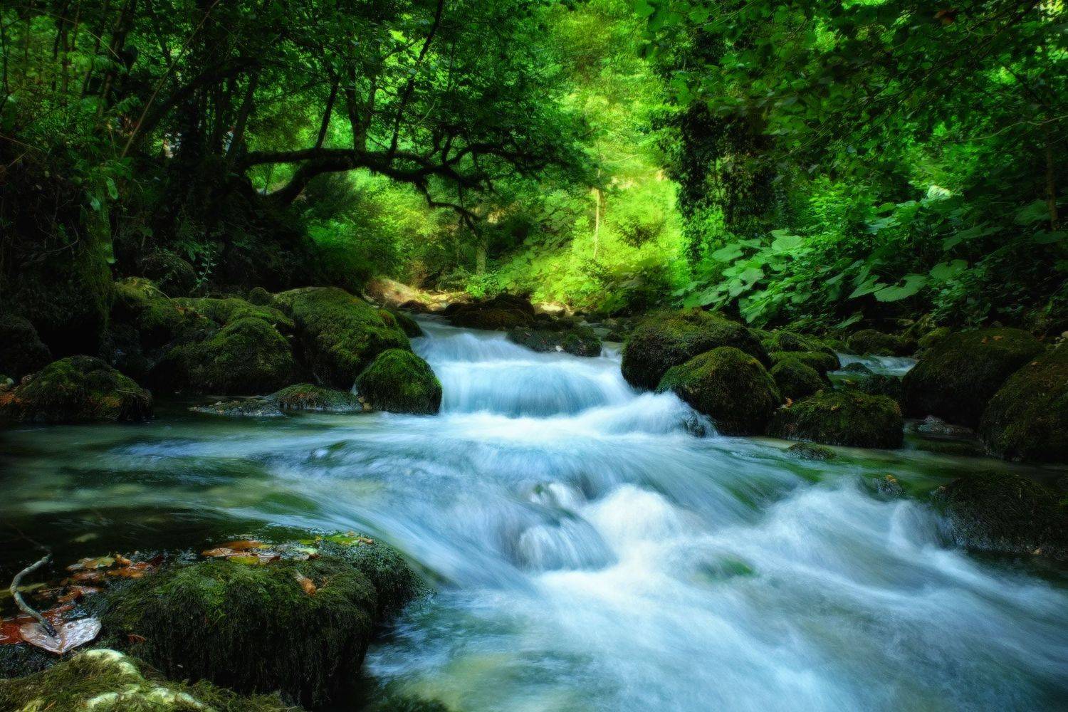 , Владлен Халимов