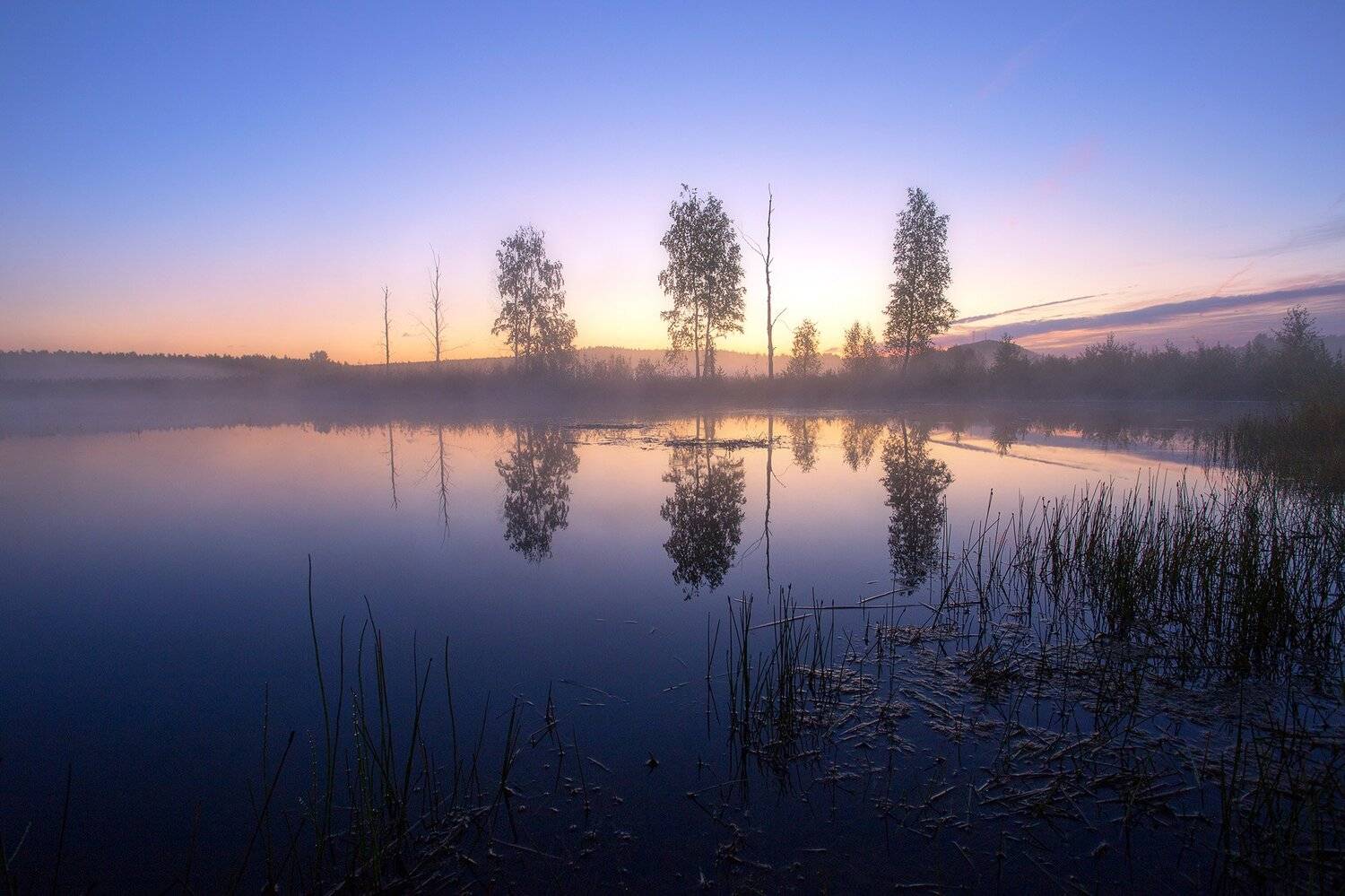 , Игорь Криницын