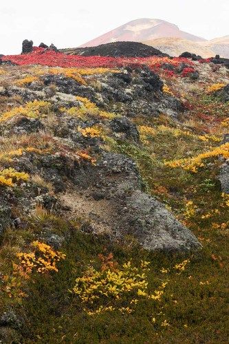 Осень на Камчатке