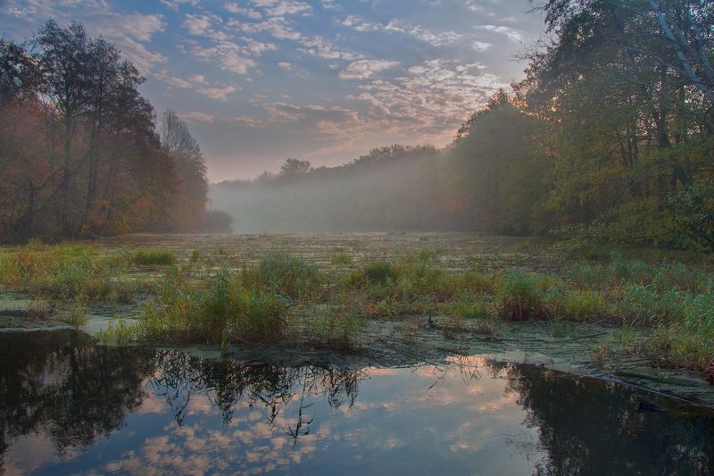 осень,утро,берег,река Уж давно поросло ... фото превью