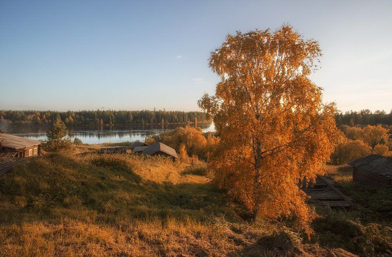 ****** фото превью